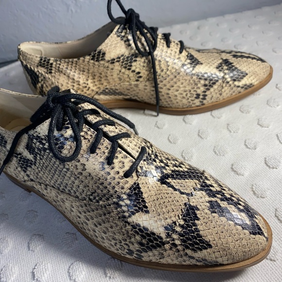 COLE HAAN Modern Classic Oxford - Python Printed Leather - Picture 9 of 16